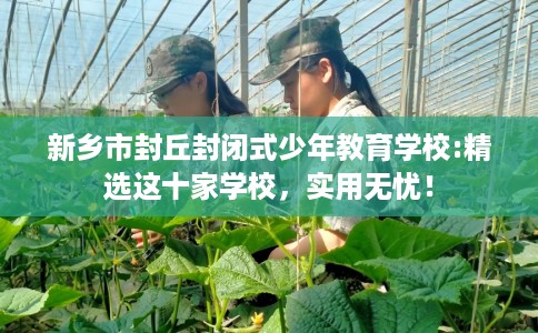 新乡市封丘封闭式少年教育学校:精选这十家学校,实用无忧! 新乡市封丘封闭式少年教育学校:精选这十家学校,实用无忧!