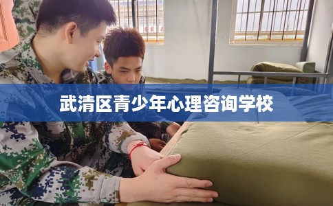 武清区青少年心理咨询学校