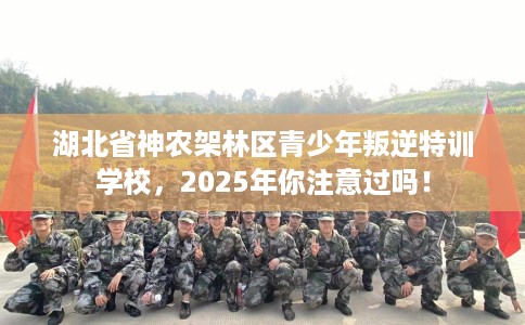 湖北省神农架林区青少年叛逆特训学校,2025年你注意过吗! 湖北省神农架林区青少年叛逆特训学校,2025年你注意过吗!