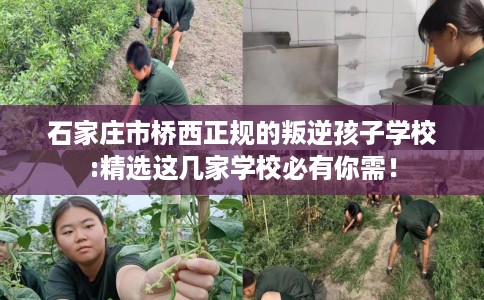 石家庄市桥西正规的叛逆孩子学校:精选这几家学校必有你需！