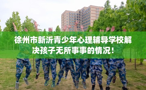 徐州市新沂青少年心理辅导学校解决孩子无所事事的情况！