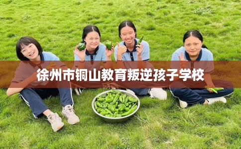 徐州市铜山教育叛逆孩子学校