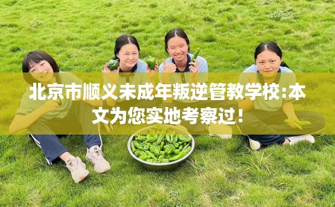 北京市顺义未成年叛逆管教学校:本文为您实地考察过！