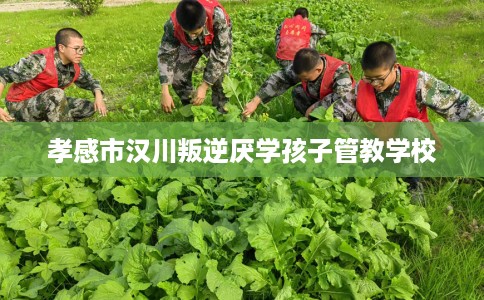 孝感市汉川叛逆厌学孩子管教学校