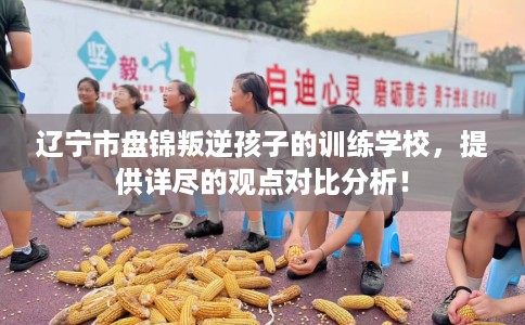 辽宁市盘锦叛逆孩子的训练学校,提供详尽的观点对比分析! 辽宁市盘锦叛逆孩子的训练学校,提供详尽的观点对比分析!