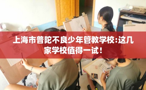 上海市普陀不良少年管教学校:这几家学校值得一试！
