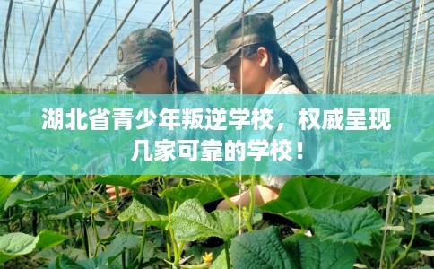 湖北省青少年叛逆学校，权威呈现几家可靠的学校！