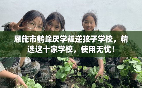 恩施市鹤峰厌学叛逆孩子学校,精选这十家学校,使用无忧! 恩施市鹤峰厌学叛逆孩子学校,精选这十家学校,使用无忧!