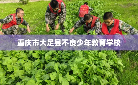 重庆市大足县不良少年教育学校