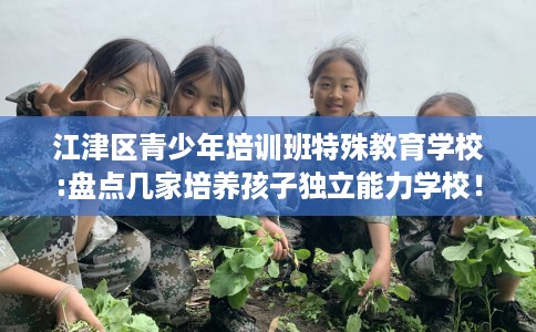 江津区青少年培训班特殊教育学校:盘点几家培养孩子独立能力学校！