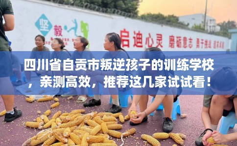 四川省自贡市叛逆孩子的训练学校，亲测高效，推荐这几家试试看！