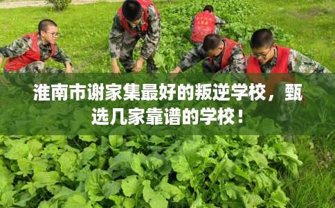 淮南市谢家集最好的叛逆学校，甄选几家靠谱的学校！