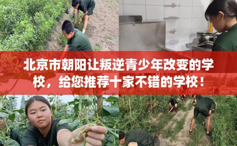 北京市朝阳让叛逆青少年改变的学校，给您推荐十家不错的学校！