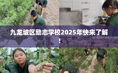 九龙坡区励志学校2025年快来了解!