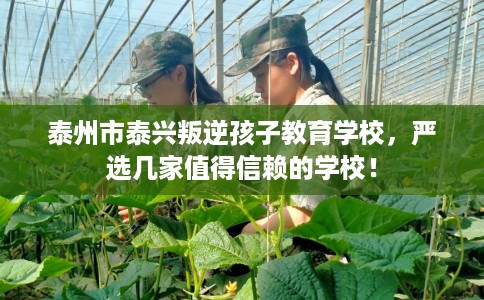 泰州市泰兴叛逆孩子教育学校,严选几家值得信赖的学校! 泰州市泰兴叛逆孩子教育学校,严选几家值得信赖的学校!