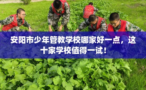 安阳市少年管教学校哪家好一点，这十家学校值得一试！