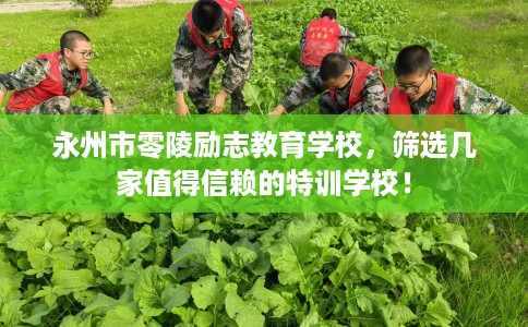 永州市零陵励志教育学校，筛选几家值得信赖的特训学校！