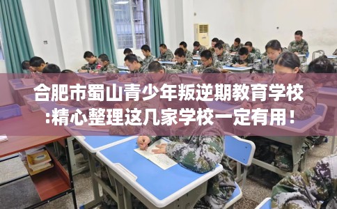 合肥市蜀山青少年叛逆期教育学校:精心整理这几家学校一定有用！