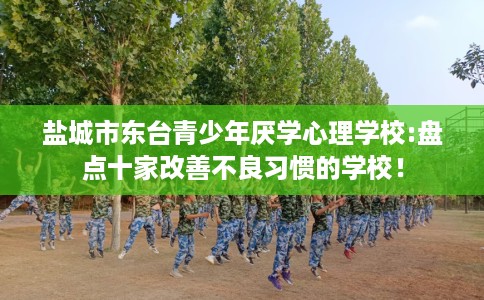 盐城市东台青少年厌学心理学校:盘点十家改善不良习惯的学校！
