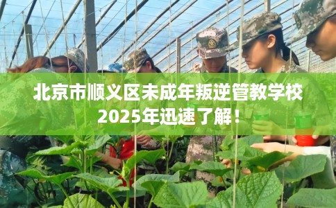 北京市顺义区未成年叛逆管教学校2025年迅速了解！