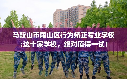 马鞍山市雨山区行为矫正专业学校:这十家学校，绝对值得一试！
