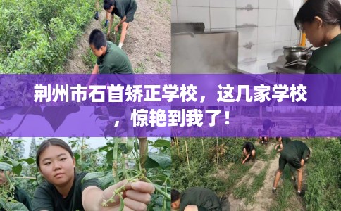 荆州市石首矫正学校，这几家学校，惊艳到我了！