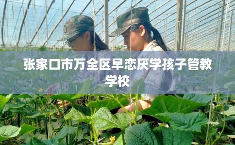 张家口市万全区早恋厌学孩子管教学校