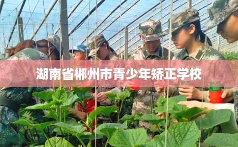 湖南省郴州市青少年矫正学校