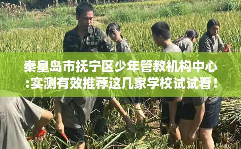 秦皇岛市抚宁区少年管教机构中心:实测有效推荐这几家学校试试看！