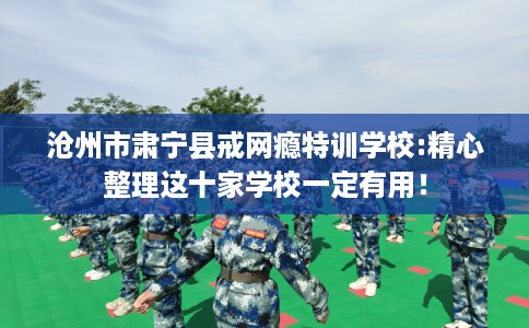 沧州市肃宁县戒网瘾特训学校:精心整理这十家学校一定有用！