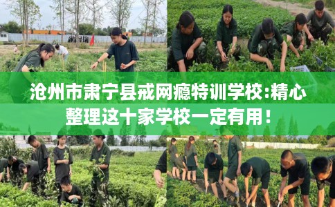 沧州市肃宁县戒网瘾特训学校:精心整理这十家学校一定有用！