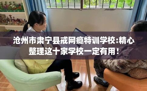 沧州市肃宁县戒网瘾特训学校:精心整理这十家学校一定有用！