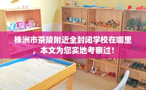 株洲市茶陵附近全封闭学校在哪里，本文为您实地考察过！