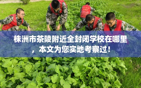 株洲市茶陵附近全封闭学校在哪里，本文为您实地考察过！