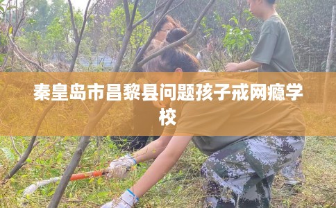 秦皇岛市昌黎县问题孩子戒网瘾学校 秦皇岛市昌黎县问题孩子戒网瘾学校
