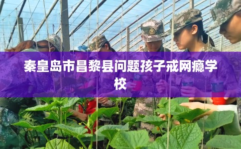 秦皇岛市昌黎县问题孩子戒网瘾学校 秦皇岛市昌黎县问题孩子戒网瘾学校