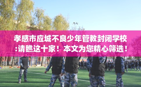 孝感市应城不良少年管教封闭学校:请瞧这十家！本文为您精心筛选！