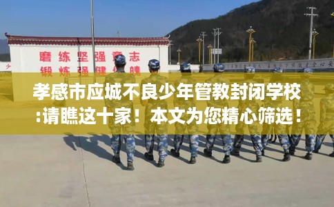 孝感市应城不良少年管教封闭学校:请瞧这十家！本文为您精心筛选！