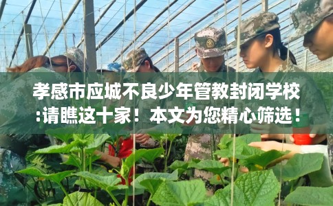 孝感市应城不良少年管教封闭学校:请瞧这十家！本文为您精心筛选！