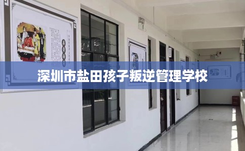 深圳市盐田孩子叛逆管理学校