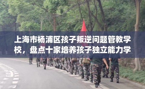 上海市杨浦区孩子叛逆问题管教学校，盘点十家培养孩子独立能力学校！