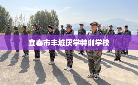 宜春市丰城厌学特训学校