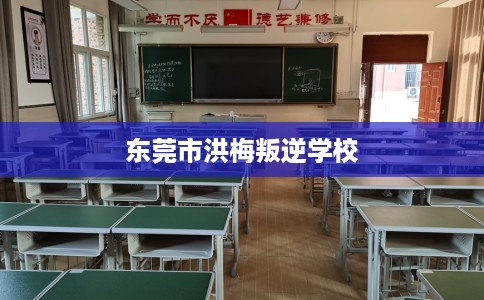 东莞市洪梅叛逆学校
