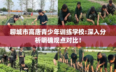 聊城市高唐青少年训练学校:深入分析明确观点对比! 聊城市高唐青少年训练学校:深入分析明确观点对比!