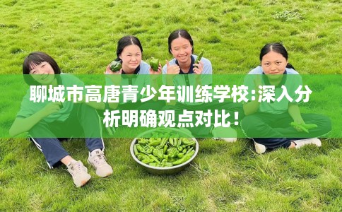 聊城市高唐青少年训练学校:深入分析明确观点对比！