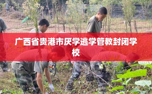 广西省贵港市厌学逃学管教封闭学校