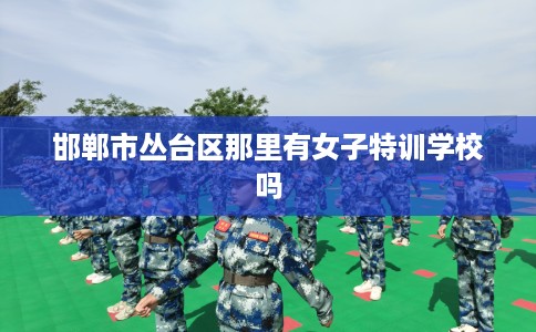邯郸市丛台区那里有女子特训学校吗 邯郸市丛台区那里有女子特训学校吗