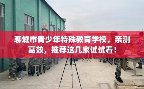 聊城市青少年特殊教育学校,亲测高效,推荐这几家试试看! 聊城市青少年特殊教育学校,亲测高效,推荐这几家试试看!