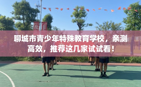 聊城市青少年特殊教育学校，亲测高效，推荐这几家试试看！