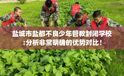 盐城市盐都不良少年管教封闭学校:分析非常明确的优势对比! 盐城市盐都不良少年管教封闭学校:分析非常明确的优势对比!